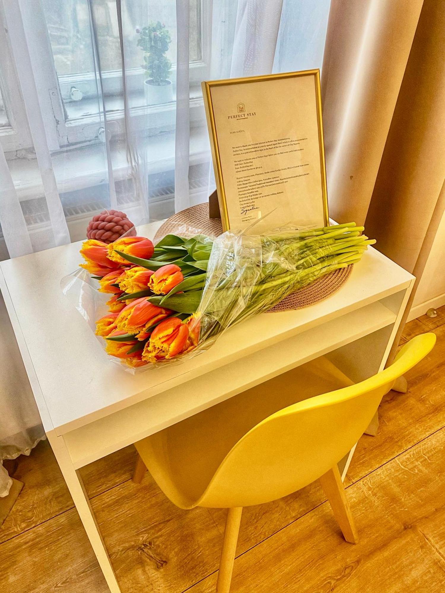 Perfect Stay Cluj-Napoca Ngoại thất bức ảnh
